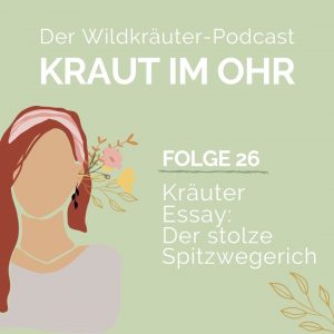 Kräuter Essay_Der stolze Spitzwegerich