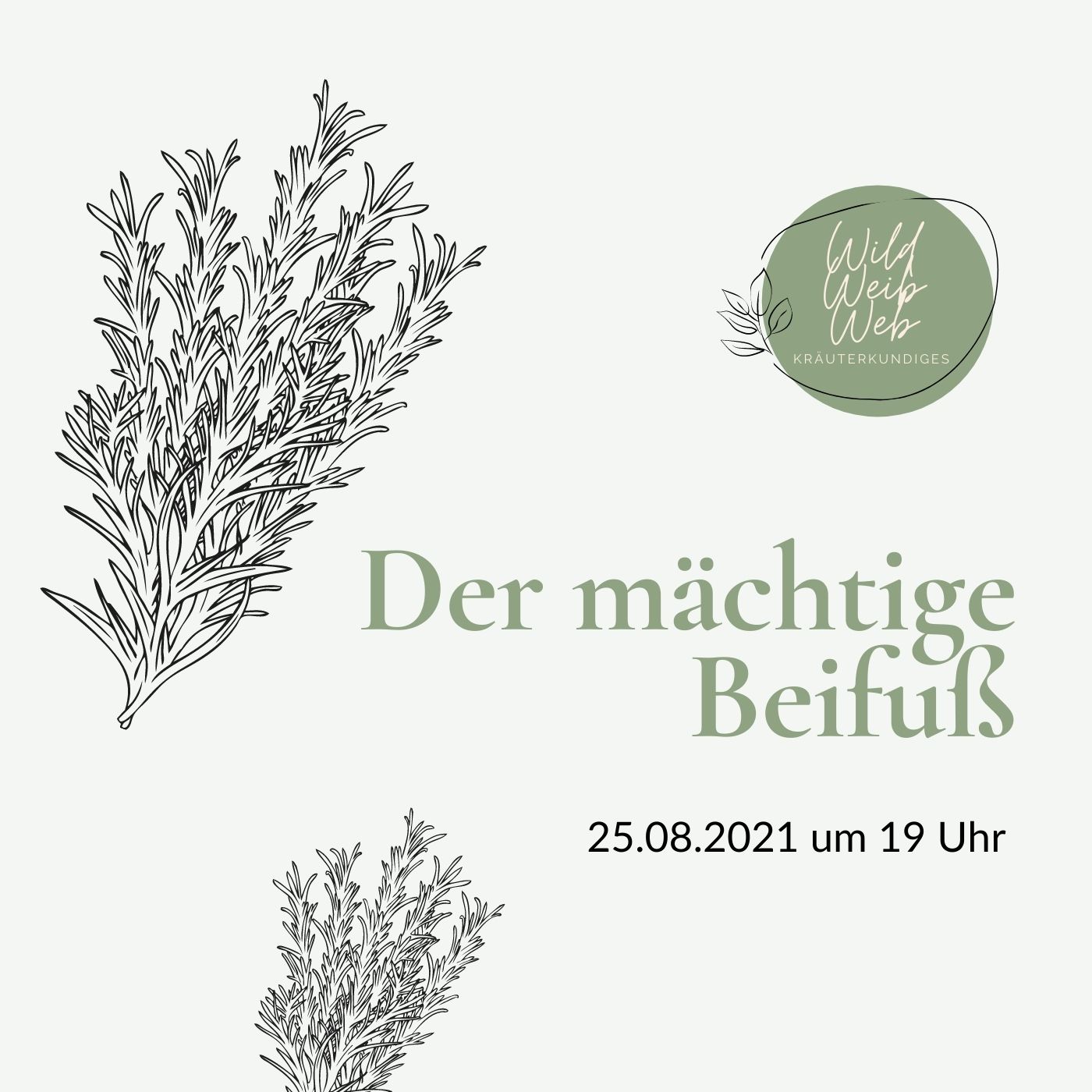 WildWeibWeb_Online Workshop_Der mächtige Beifuß
