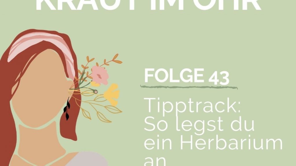 Das Herbarium - Lege dir deine ganz persönliche Pflanzensammlung an.
