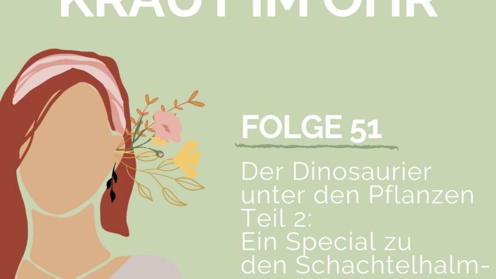 Folge 51_Der Dinosaurier unter den Pflanzen- Ein Special zu den Schachtelhalmgewächsen mit Dr. Marianne Ruoff_Teil 2