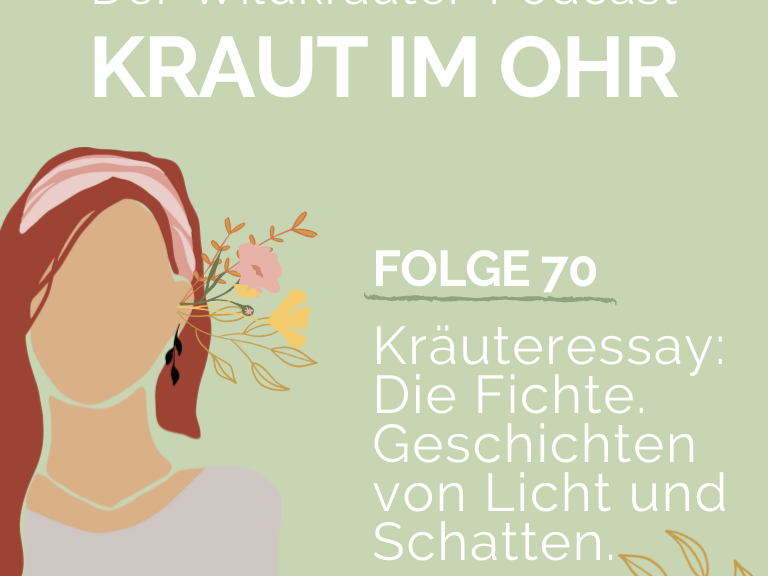 Die Fichte
