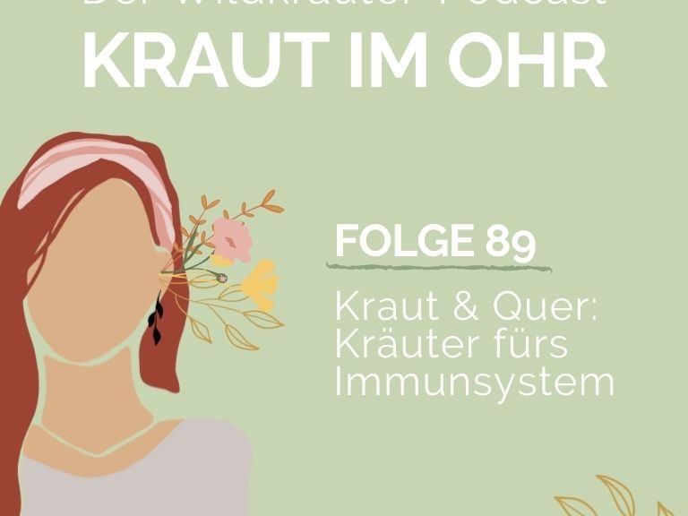 Kräuter für das Immunsystem
