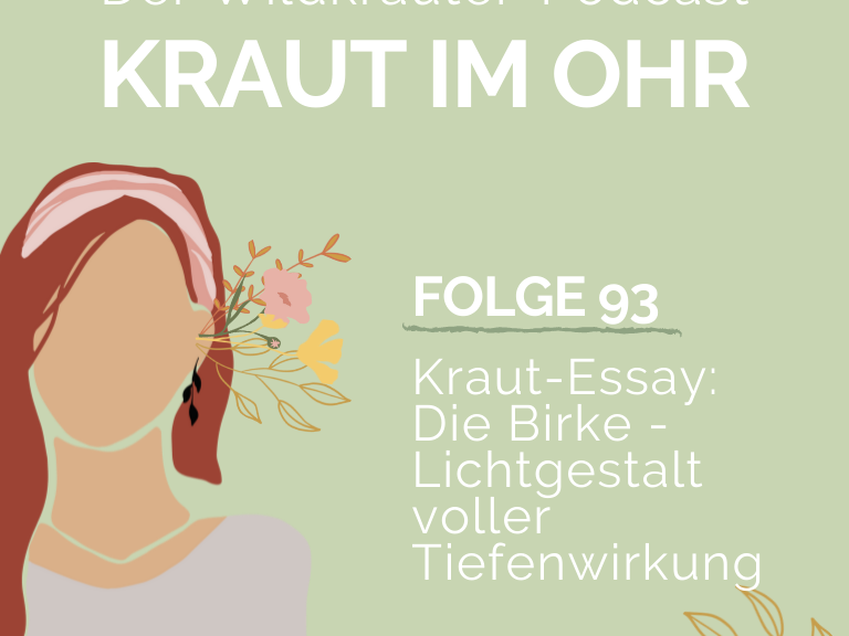 Die Birke - Die Birke - Lichtgestalt voller Tiefenwirkung